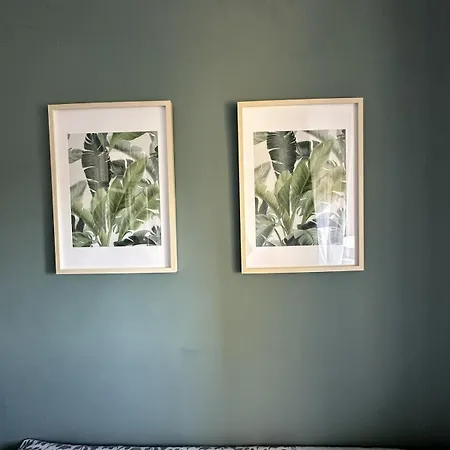 Bright And Comfortable