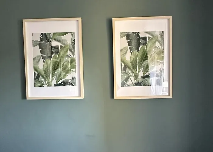 Bright And Comfortable